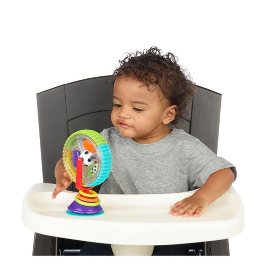 Sassy Wonder Wheel Toys Sassy